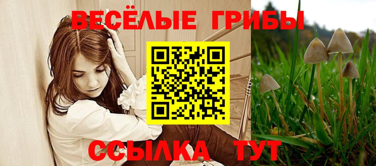 Псилоцибиновые грибы MAGIC MUSHROOMS Лыткарино